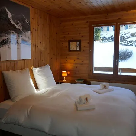 Nordwestwand By Interhome * Grindelwald