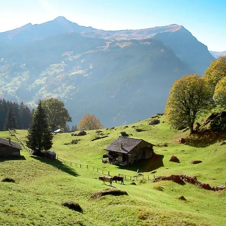 Nordwestwand By Interhome * Grindelwald