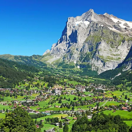 Nordwestwand By Interhome Grindelwald